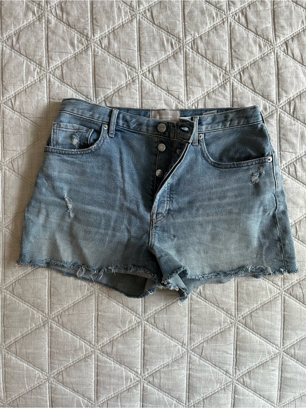 Everlane Light Blue Denim Cheeky Short Size 29